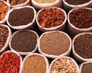 SPICE